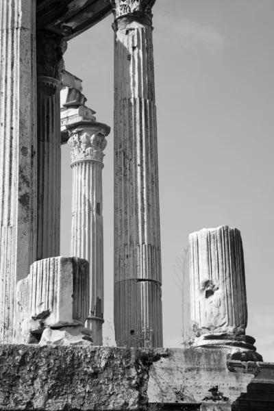 Róma - a Forum romanum oszlopai — Stock Fotó