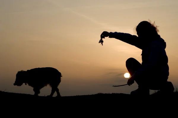 Leka med hunden i solnedgången — Stockfoto