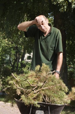 Bahçıvan iş başında