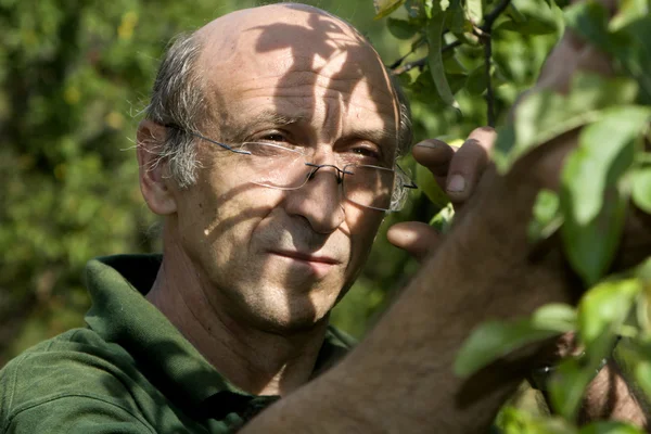 Retrato de jardineiro — Fotografia de Stock