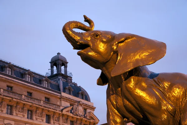 Paris statue of elephant outside museum D'Orsay in morning - Emmanuel Fremiet (1824 - 1910) — Stock Photo, Image