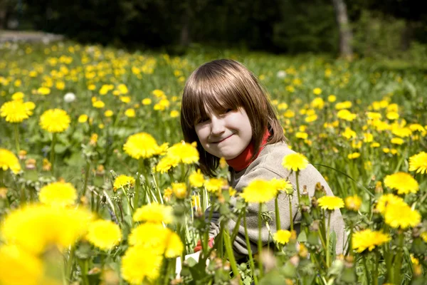 蒲公英草地上的小女孩 — 图库照片