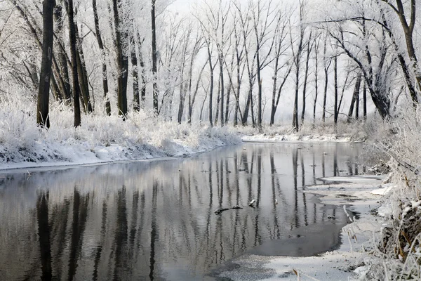 Rzeka w zimie - Słowacja — Zdjęcie stockowe