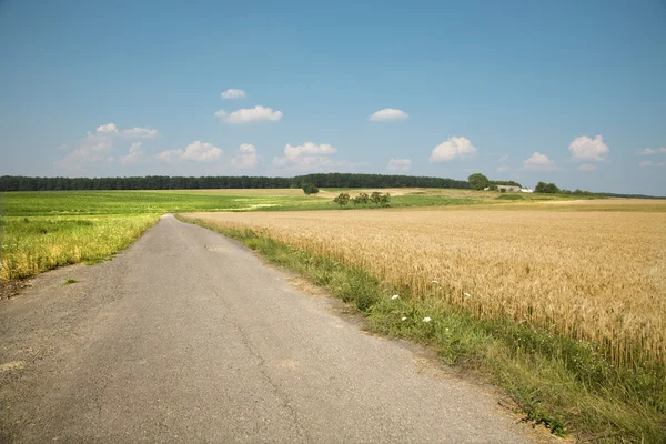 Lanscape ze Słowacji środkowy ze sposobem, w polach — Zdjęcie stockowe