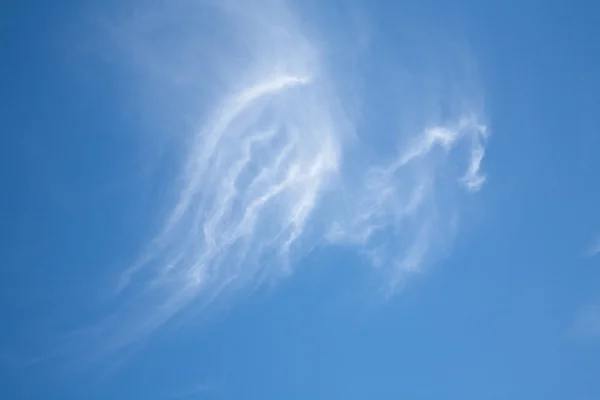 blue sky angel Wings