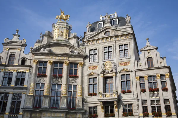 Brusel - fasáda paláce od hlavního náměstí ve večerním světle. Grote markt. — Stock fotografie