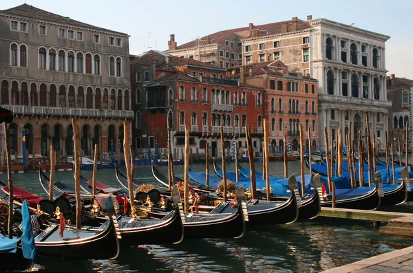 Venecia - Canal Grande y góndolas — Foto de Stock