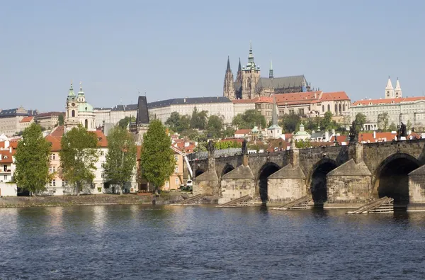 Jembatan charles dan katedral - Praha — Stok Foto