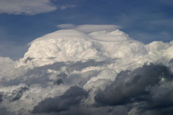 Enxame para a tempestade — Fotografia de Stock