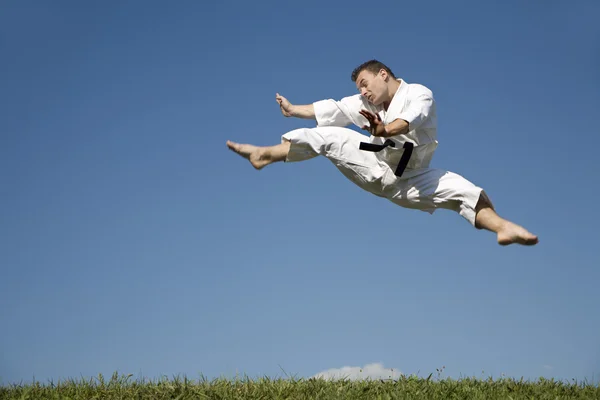 Världsmästare i karate - kick — Stockfoto