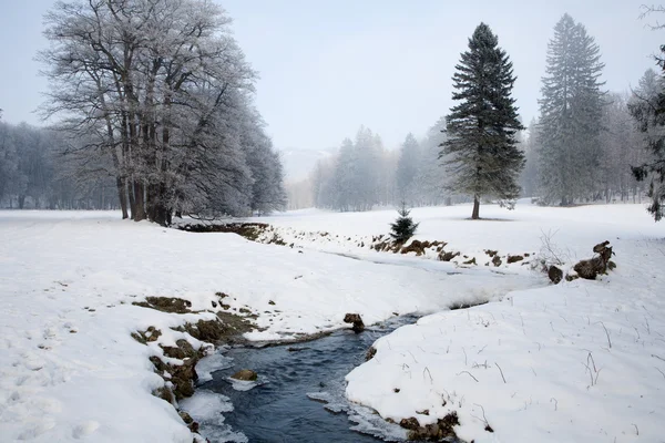 Riacho na paisagem de inverno - Eslováquia em Betliar — Fotografia de Stock