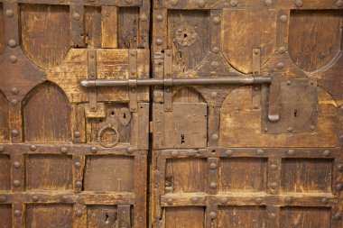 mujer y rosa orquídea