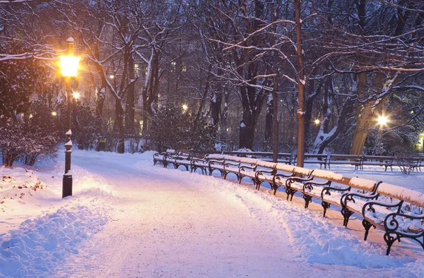 Viena - Stadtpark en la mañana de invierno — Foto de Stock