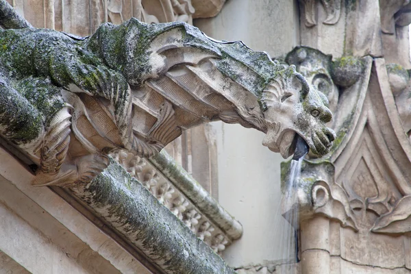 Toledo - 8 maart: detail van gotische spouter op het werk van atrium van monasterio de san juan de los reyes op 8 maart 2013 in toledo, Spanje. — Stockfoto