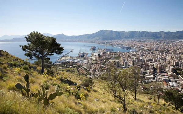 Palermo - outlook over city and harbor form Mount Pelegrino — Stock Photo, Image