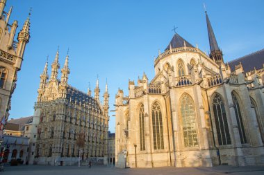 Leuven - gothic town hall ve sabah ışık Katedrali St peters