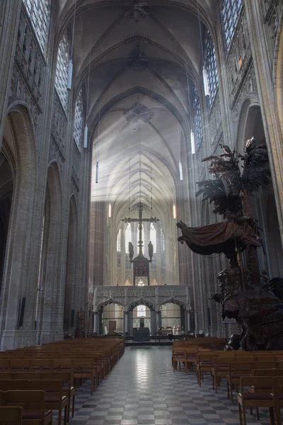 Leuven - 3 september: schip van st. peters gotische kathedraal en stralen van ochtendzon in sepetember 3, 2013 in leuven, België. — Stockfoto