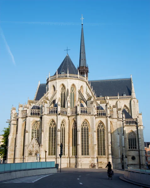 Lovanio - Cattedrale gotica Peters da sud-est 3 settembre 2013 a Lovanio, Belgio . — Foto Stock