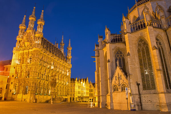 Leuven - Gothic town hall and st. Peters cathedral in evening dusk