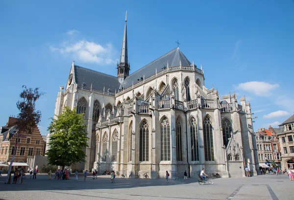 LEUVEN - 3. září: Petersova gotická katedrála z jihovýchodu v září 2013 v belgickém Leuvenu. — Stock fotografie