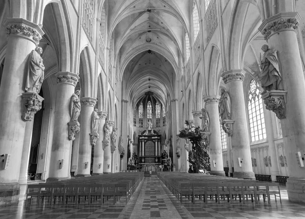 MECHELEN, BELGIUM - SEPTEMBER 6: Nave of St. Rumbold's cathedral on Sepetember 6, 2013 in Leuven, Belgium. — Stock Photo, Image