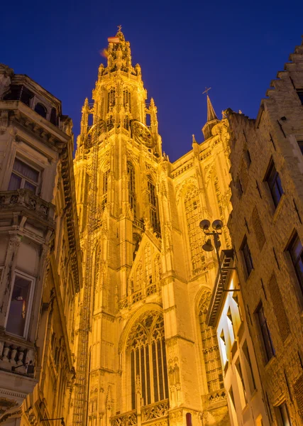 Antwerp - West facade of cathedral of Our Lady at evening dusk — Stock Photo, Image