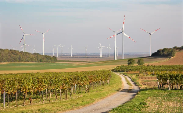 Windkraftanlage und Herbstweinberge in Ostösterreich — Stockfoto