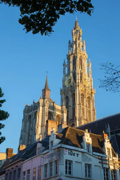 Amberes - Torres de la catedral de Nuestra Señora a la luz de la mañana —  Fotos de Stock