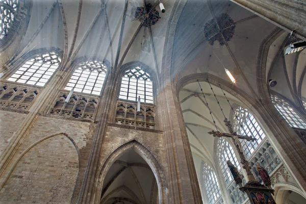 Leuven, België - 3 september: transept van st. peters gotische kathedraal en stralen van ochtendzon in sepetember 3, 2013 in leuven, België. — Stockfoto