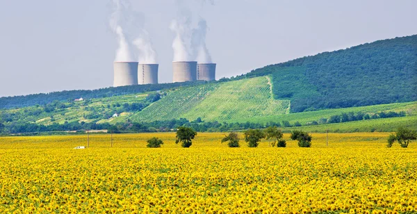 Gebied van zonnebloemen en kerncentrale — Stockfoto