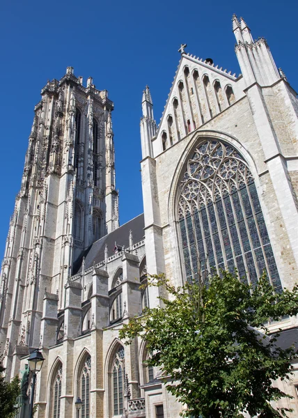 Malinas - Catedral de St. Rumbold desde el sur 4 de septiembre de 2013 en Malinas, Bélgica . —  Fotos de Stock