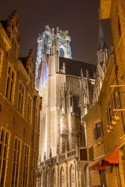 Mechelen - rumbold katedral på natten — Stockfoto