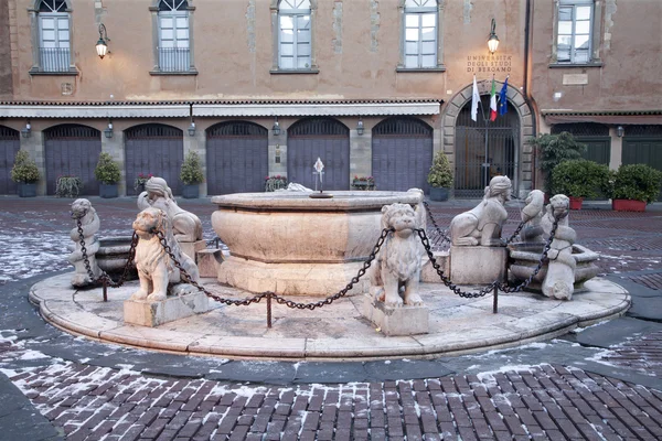 Bergamo - kış sabahları piazza vecchia çeşmeden — Stok fotoğraf