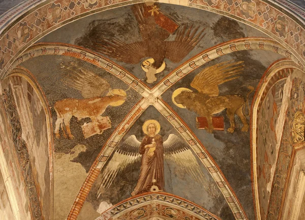 VERONA - 28 JANVIER : Fresque de quatre évangélistes dans le sanctuaire de l'église San Fermo Maggiore de 13. cent. le 28 janvier 2013 à Vérone, Italie . — Photo