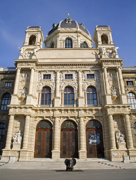 Vienna - Nature history museum — Stock Photo, Image