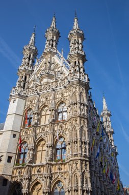 Leuven - Güneydoğu portal gothic town Hall