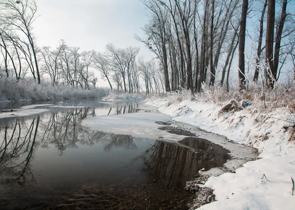 River Little Danube in winter - west Slovakia — Stock Photo, Image