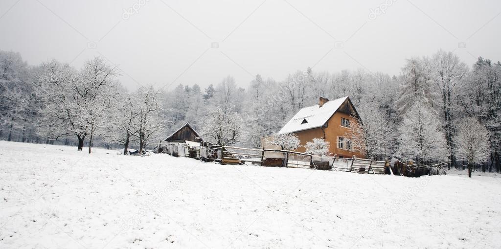 House in the forest - winter