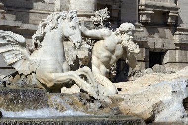 Roma - fontana di trevi