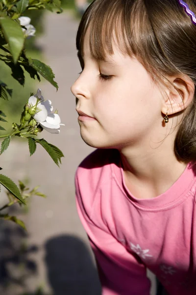 Mała dziewczynka i zapach róży — Zdjęcie stockowe