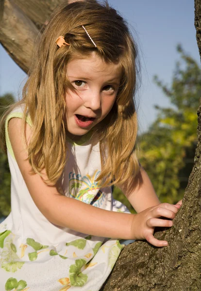 Маленька дівчинка на дереві в саду під час заходу сонця — стокове фото