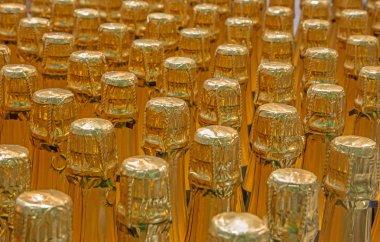 BRATISLAVA, SLOVAKIA - JANUARY 30, 2014: Detail of champagne bottles. Interior of wine plant of great Slovak producer. clipart