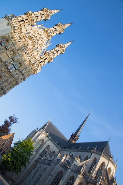 Leuven - gotická radnice a katedrála st. peters v ranním světle — Stock fotografie