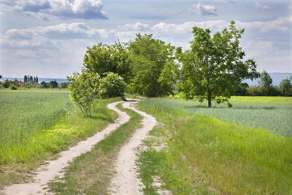 Pola i koszyk drogi i cloudscape wiosną — Zdjęcie stockowe