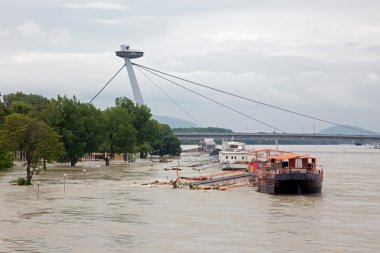 Bratislava - Haziran 5: Tuna waterfront şehrin en yüksek ölçülen su eski köprü ve Bratislava, Slovakya-arka plan-5 Haziran, 2013 tarihinde snp Köprüsü üzerinden yüksek taşkın,.