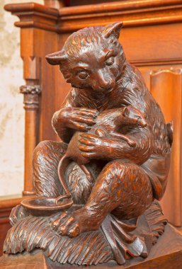 Bratislava, Slovakya - 11 Şubat 2014: bear ve kemirgen yıl 1863 - St matins Katedrali tezgah dan sembolik heykel oyma?? 1878 den anton furst johann hutterer üretmektedir.