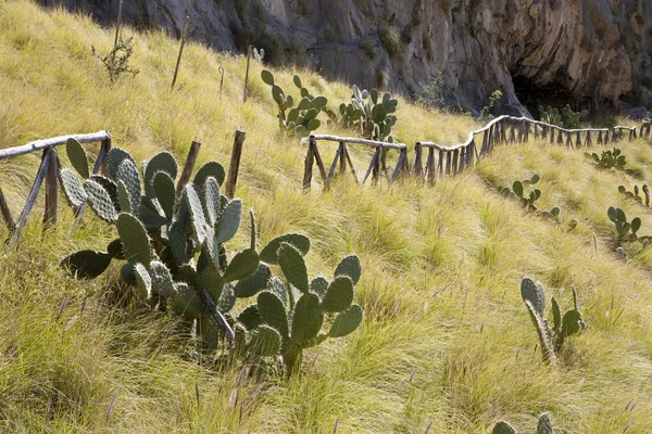 Palermo - landscape under mt. Pelegrino — Stock Photo, Image