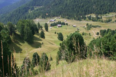 Dolomit Çayırlığında Chalets