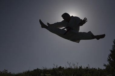 Karate dünya Master kick - siluet