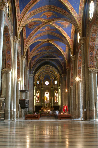 ローマ - サンタ マリア ソプラ ミネルヴァ教会の身廊 — ストック写真